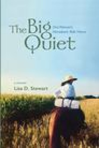 Big Quiet