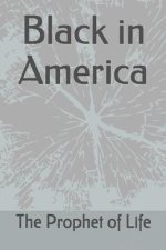 Black in America