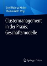 Clustermanagement in Der Praxis: Geschaftsmodelle