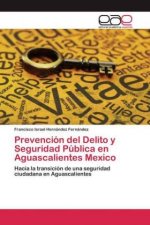 Prevencion del Delito y Seguridad Publica en Aguascalientes Mexico