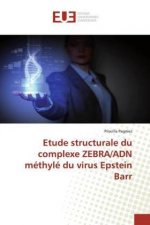 Etude structurale du complexe ZEBRA/ADN methyle du virus Epstein Barr