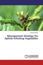 Management Strategy for Aphids Infesting Vegetables
