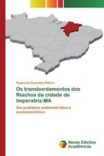 Os transbordamentos dos Riachos da cidade de Imperatriz-MA