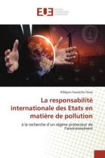 responsabilite internationale des Etats en matiere de pollution