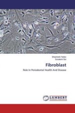 Fibroblast