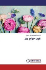 Bu ç?lg?n a?k