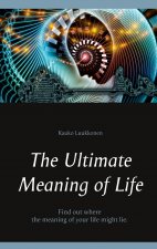 Ultimate Meaning of Life