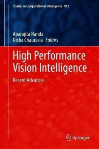 High Performance Vision Intelligence
