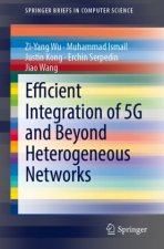 Efficient Integration of 5G and Beyond Heterogeneous Networks