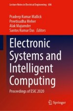 Electronic Systems and Intelligent Computing