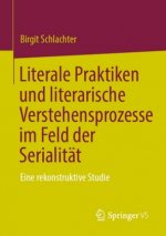 Literale Praktiken Und Literarische Verstehensprozesse Im Feld Der Serialitat