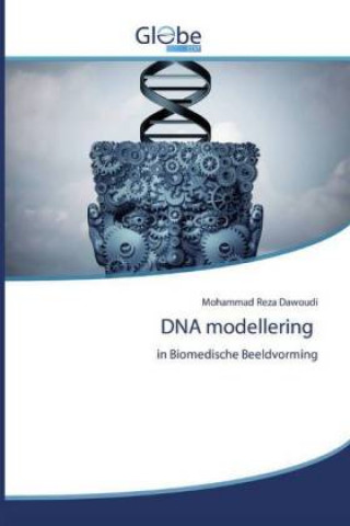 DNA modellering