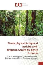 Etude phytochimique et activite anti-drepanocytaire du genre Ocimum