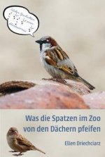 Was die Spatzen im Zoo von den Dachern pfeifen