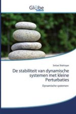 De stabiliteit van dynamische systemen met kleine Perturbaties
