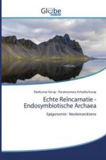 Echte Reincarnatie - Endosymbiotische Archaea