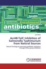 AcrAB-TolC Inhibition of Salmonella Typhimurium from Natural Sources