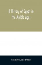 history of Egypt in the Middle Ages