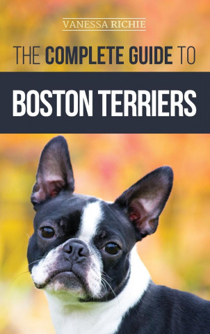 Complete Guide to Boston Terriers