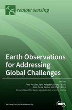 Earth Observations for Addressing Global Challenges