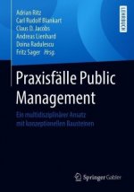 Praxisfalle Public Management