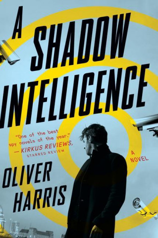 Shadow Intelligence