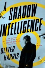 Shadow Intelligence