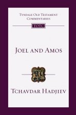 JOEL & AMOS