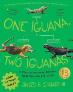 One Iguana, Two Iguanas