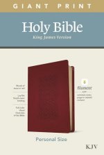 KJV Personal Size Giant Print Bible, Filament Enabled Edition (Leatherlike, Diamond Frame Cranberry)