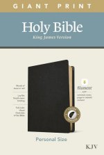 KJV Personal Size Giant Print Bible, Filament Enabled Edition (Genuine Leather, Black, Indexed)