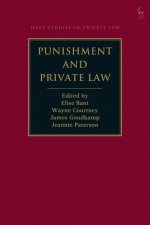 Punishment and Private Law