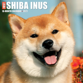 Just Shiba Inus 2021 Wall Calendar (Dog Breed Calendar)