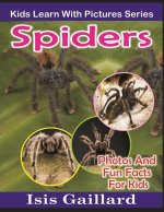 Spiders: Photos and Fun Facts for Kids