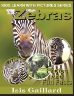 Zebras: Photos and Fun Facts for Kids