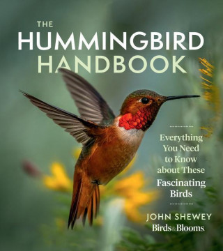 Hummingbird Handbook: Everything You Need to Know about These Fascinating Birds