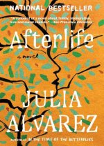 Afterlife