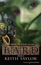 Bard II: The Return of Felimid Mac Fal!
