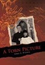 Torn Picture