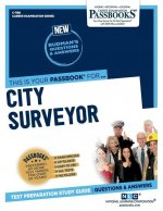 City Surveyor (C-1188): Passbooks Study Guide Volume 1188