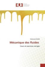 Mecanique des fluides