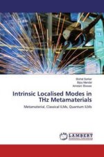 Intrinsic Localised Modes in THz Metamaterials