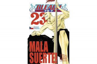 Bleach 23