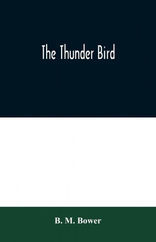 Thunder Bird