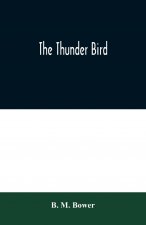 Thunder Bird