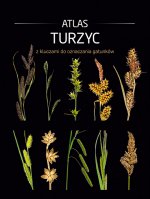 Atlas turzyc z kluczami do oznaczania gatunków