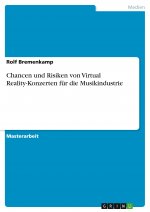 Chancen und Risiken von Virtual Reality-Konzerten für die Musikindustrie