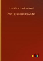 Phanomenologie des Geistes