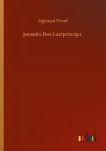 Jenseits des Lustprinzips