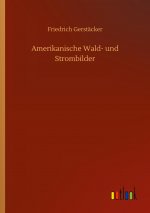 Amerikanische Wald- und Strombilder